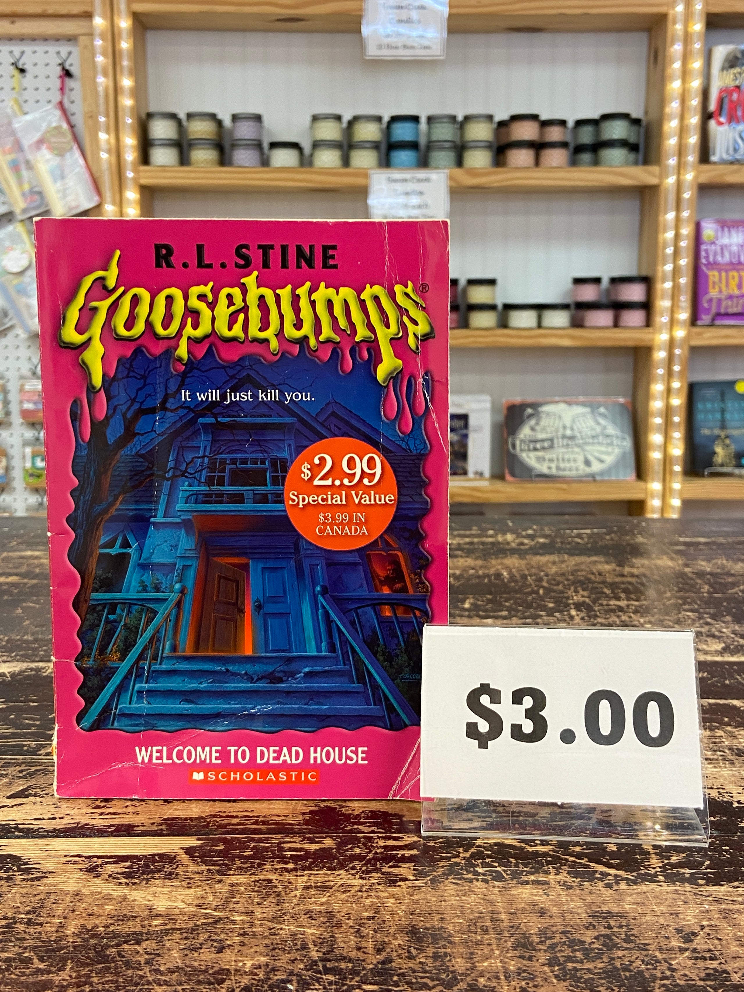 Goosebumps To Dead House by R.L. Stine Tybrisa Books