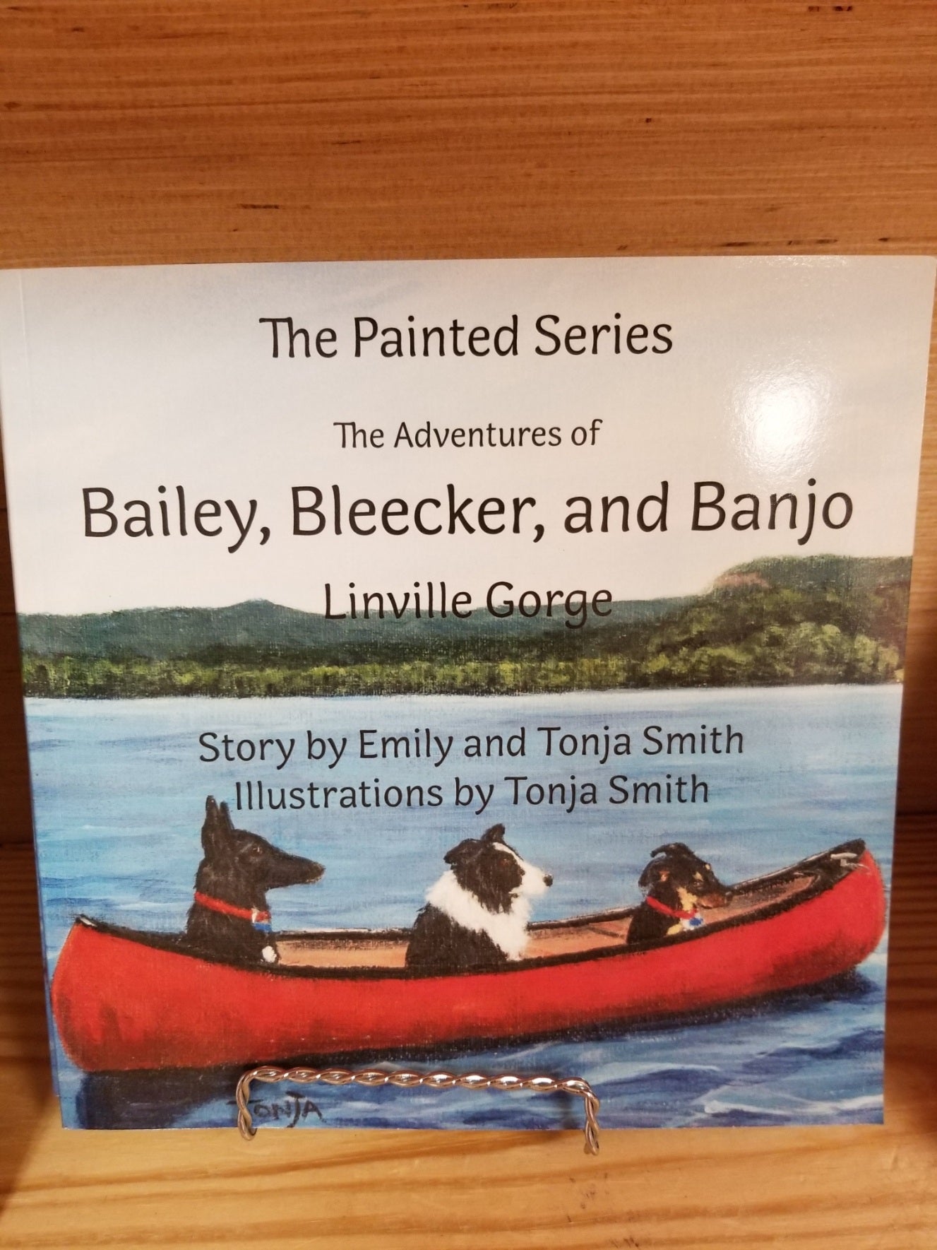 The Adventures of Bailey, Bleecker and Banjo by Tonja Smith | Tybrisa Books